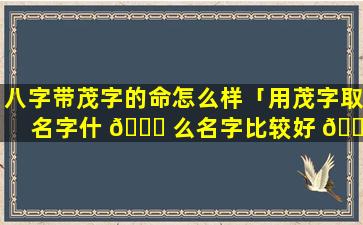 八字带茂字的命怎么样「用茂字取名字什 🐕 么名字比较好 🐦 」